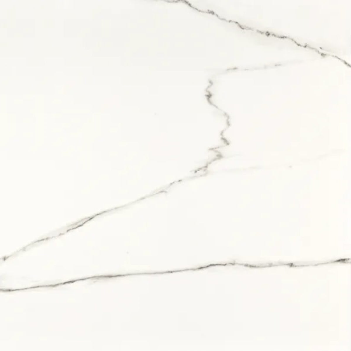 Ario White Polished Marble Porcelain 120x120cm Wall and Floor Tiles