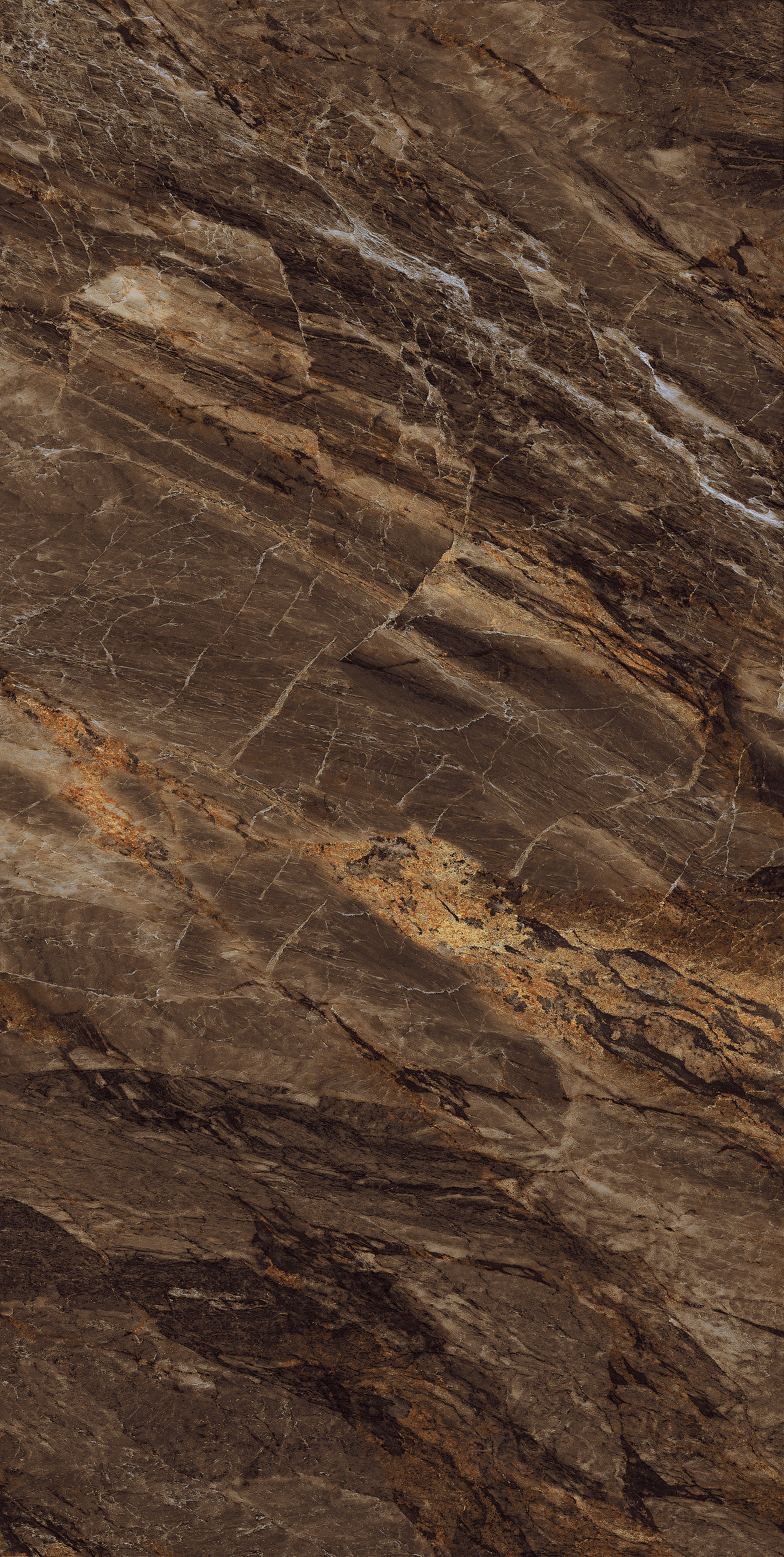 Bruno Brown High Gloss Porcelain 60x120cm Wall Floor Tiles