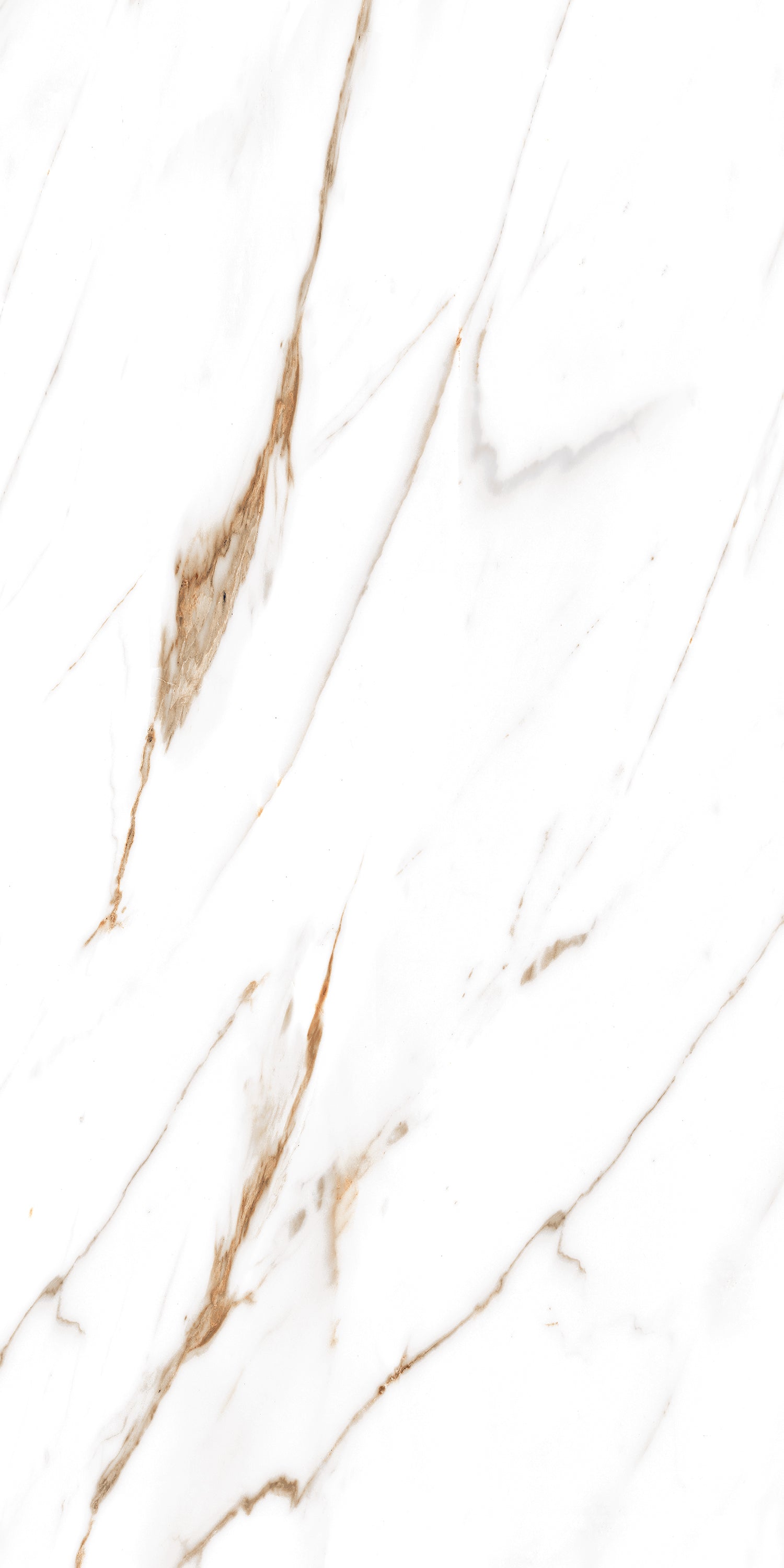 Golden Carrara Gloss Porcelain 60x120cm  Wall and Floor Tiles