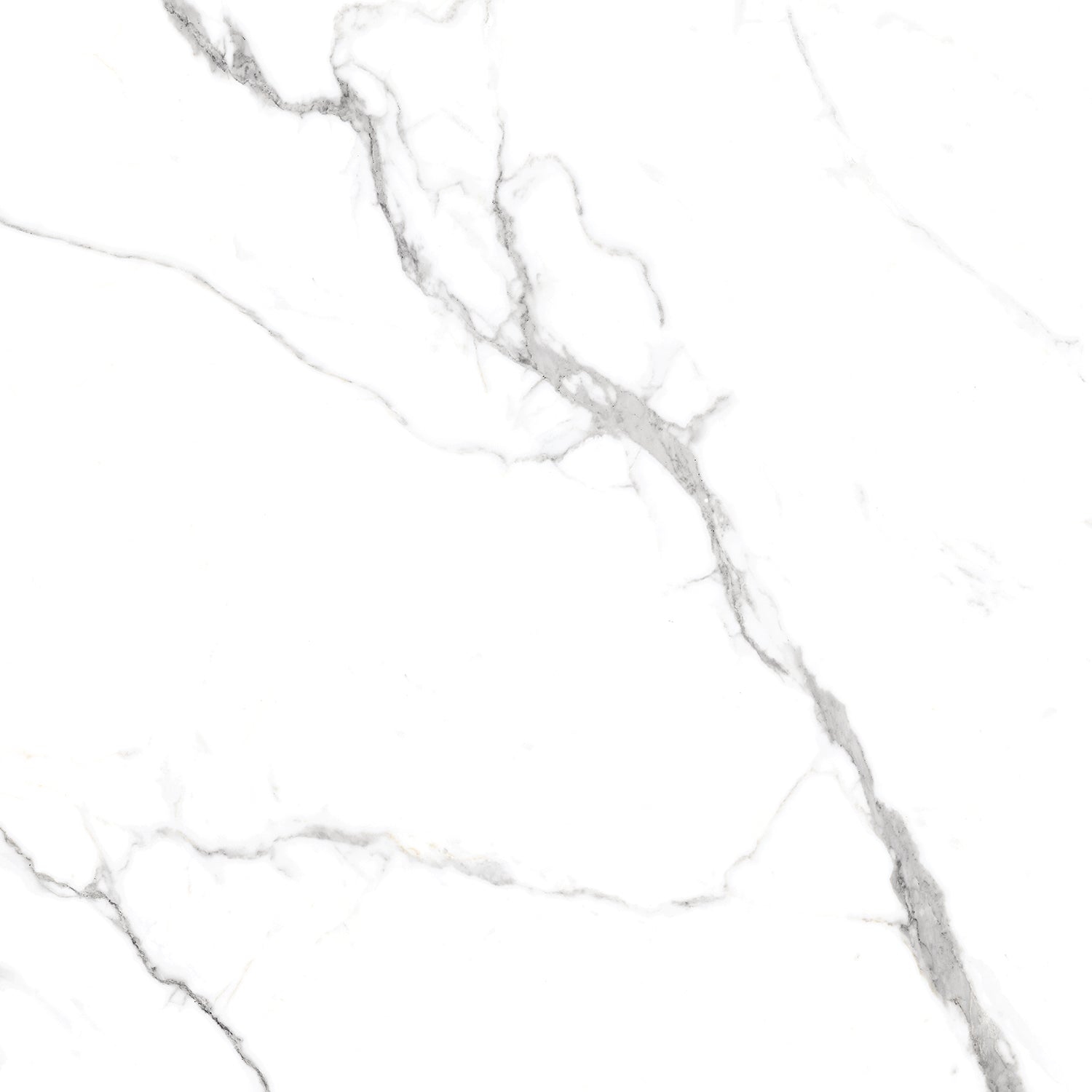 Timeless Satvario Gloss Porcelain 60x60cm Wall and Floor Tiles