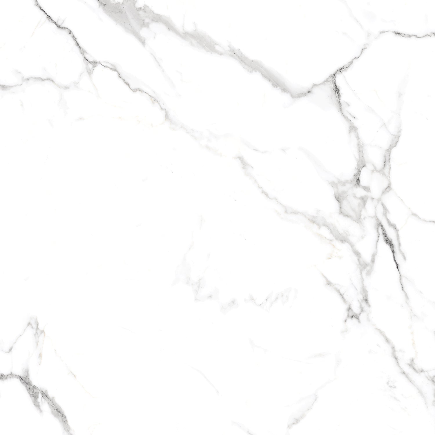 Timeless Satvario Gloss Porcelain 60x60cm Wall and Floor Tiles