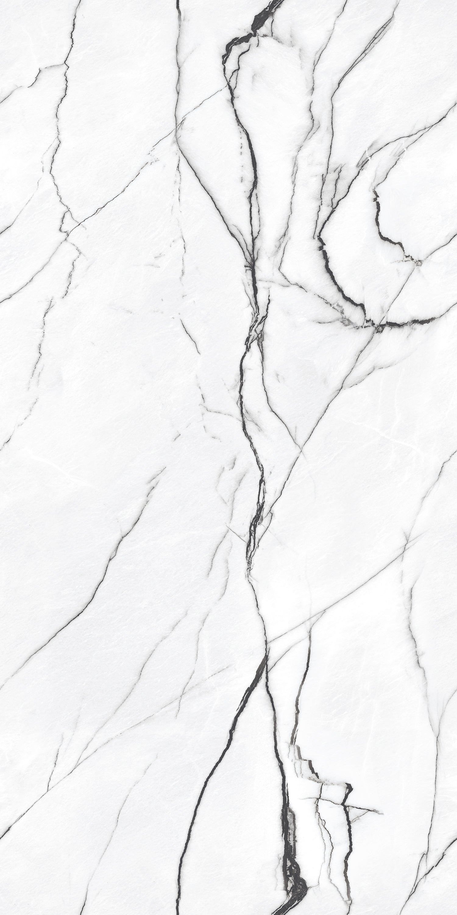 Classic Black Vein Gloss 60X120cm Porcelain Bathroom Kitchen Wall Floor Tile