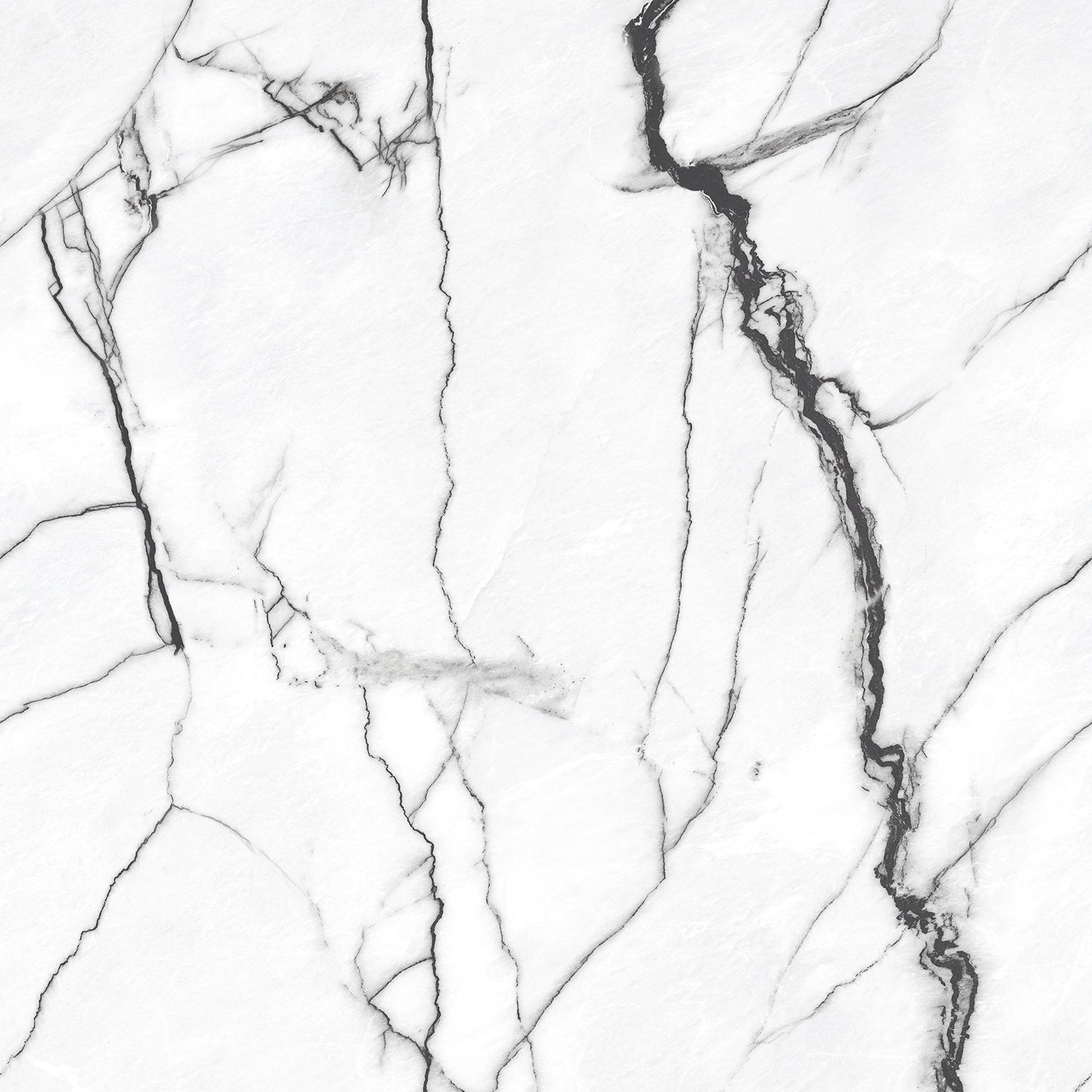 Classic Black Vein Gloss 60X60cm Porcelain Bathroom Kitchen Wall Floor Tile