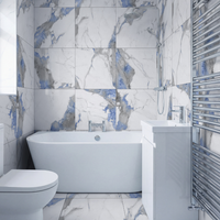 Polar Blue Marble Matt Porcelain 60x60cm Wall and Floor Tiles