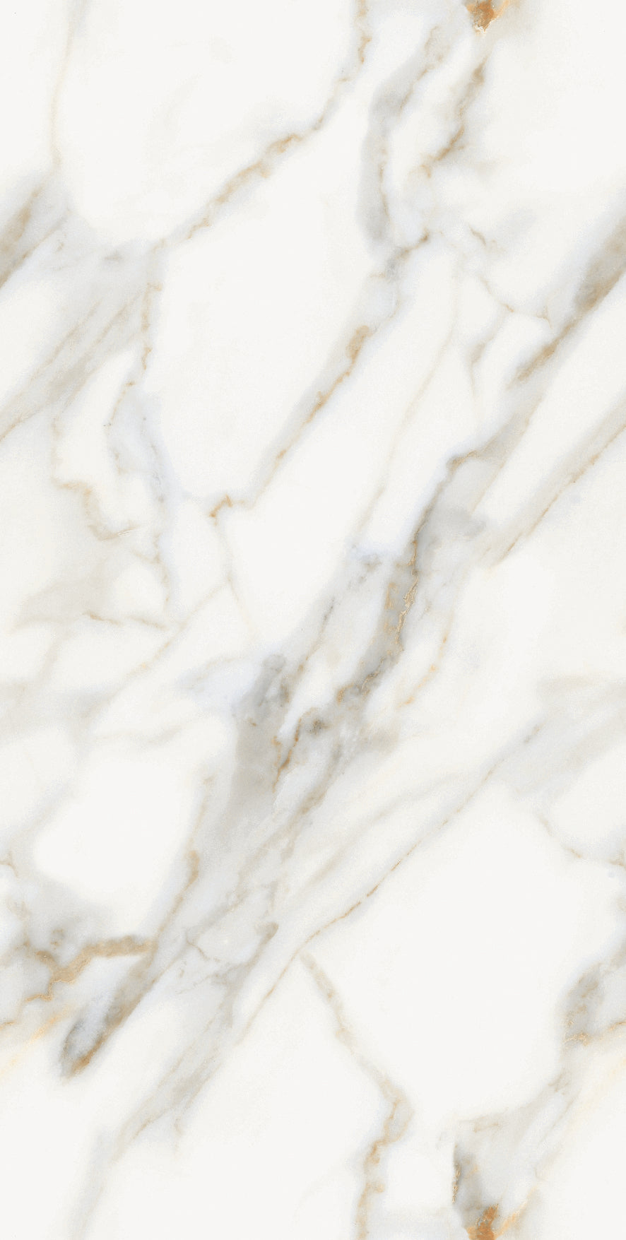 Honey Gold Gloss Porcelain 60x120cm Wall and Floor Tiles