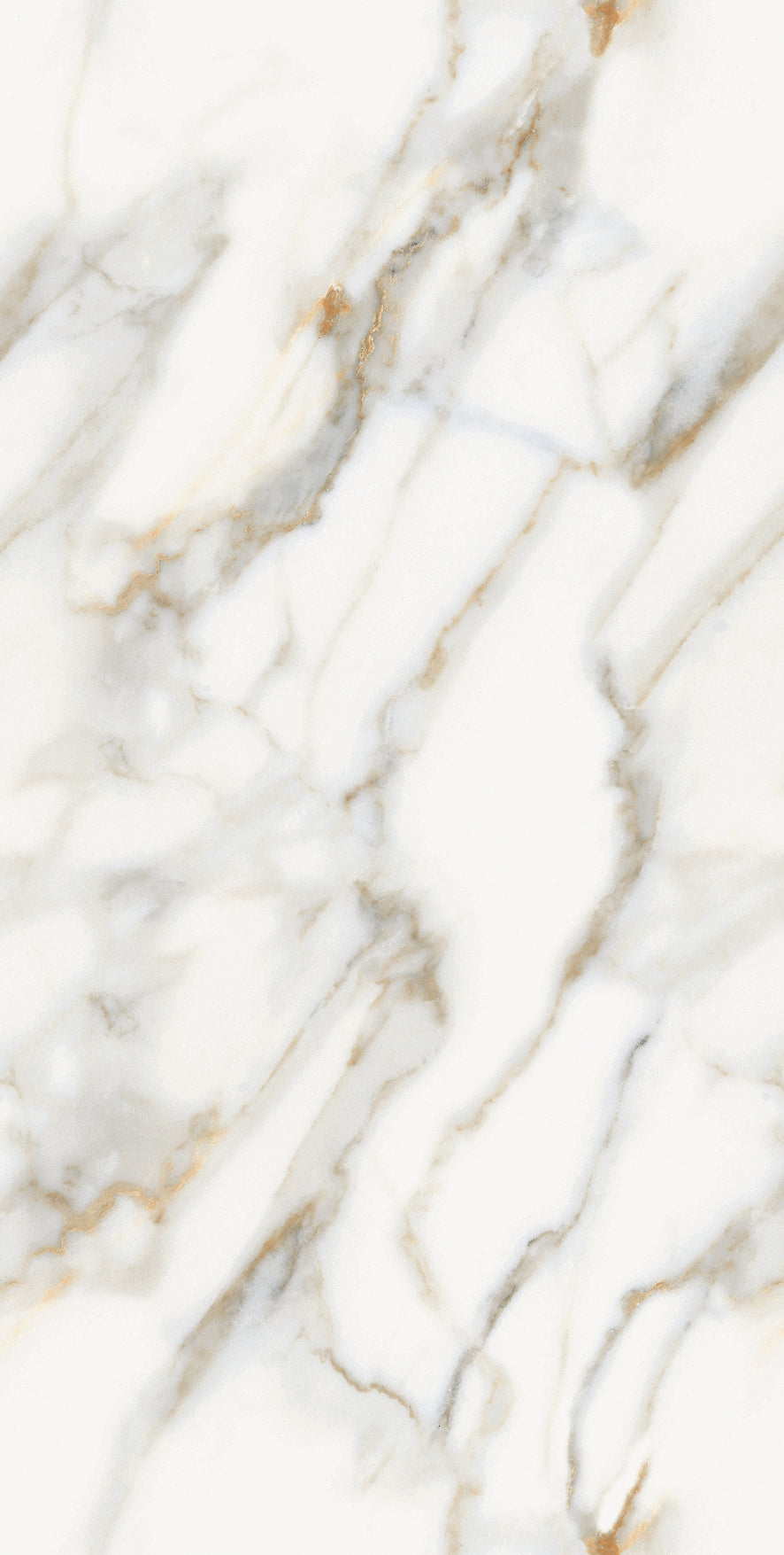 Honey Gold Gloss Porcelain 60x120cm Wall and Floor Tiles