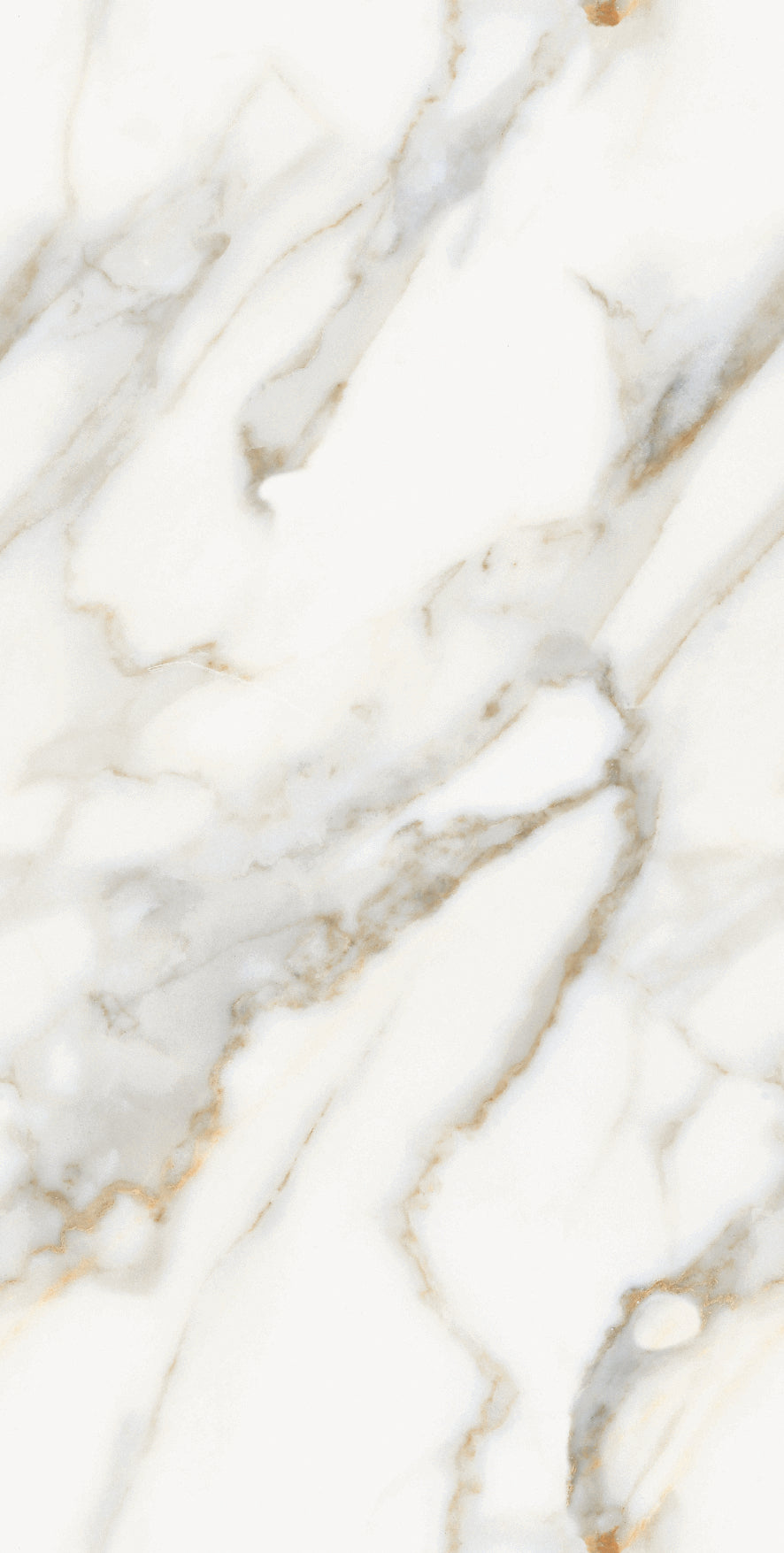 Honey Gold Gloss Porcelain 60x120cm Wall and Floor Tiles