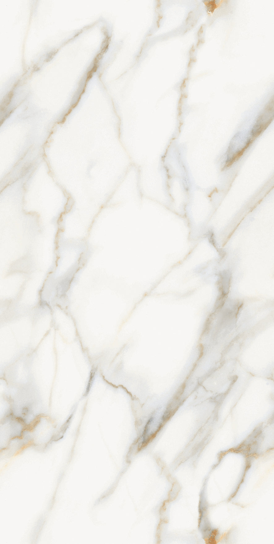Honey Gold Gloss Porcelain 60x120cm Wall and Floor Tiles