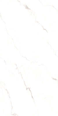 Flat Satvario White Glossy Glitter Carving 60x120cm Porcelain Wall Floor Tiles