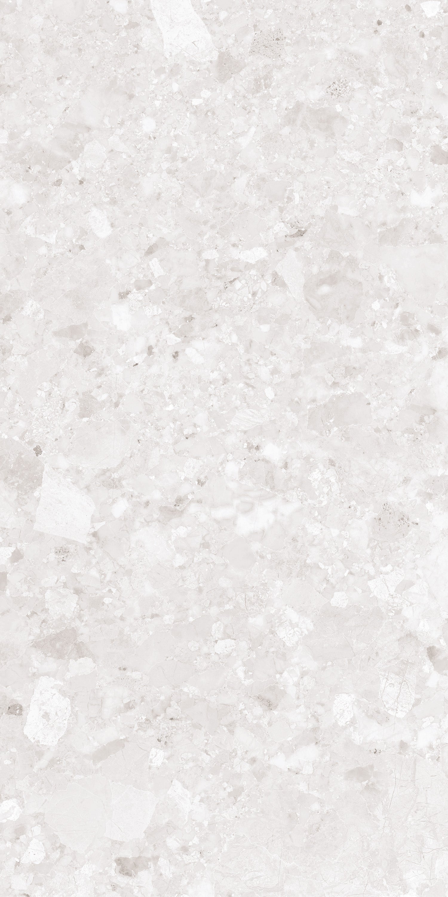 Nova White Matt Porcelain 60x120cm Wall and Floor Tiles