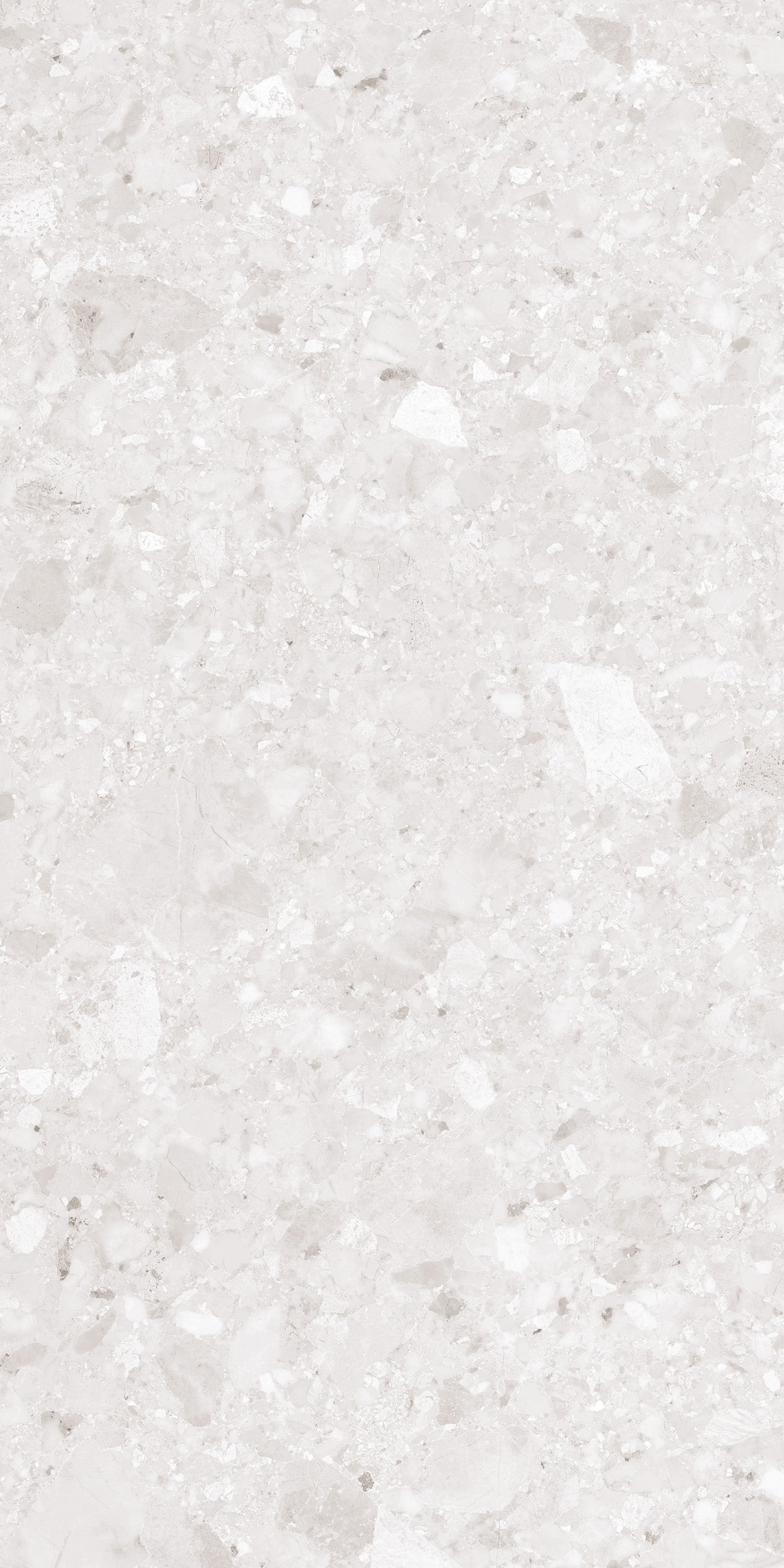 Nova White Matt Porcelain 60x120cm Wall and Floor Tiles