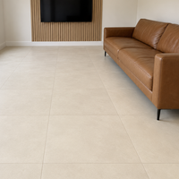Slate Mist Beige Matt Porcelain 60x60cm Wall And Floor Tile