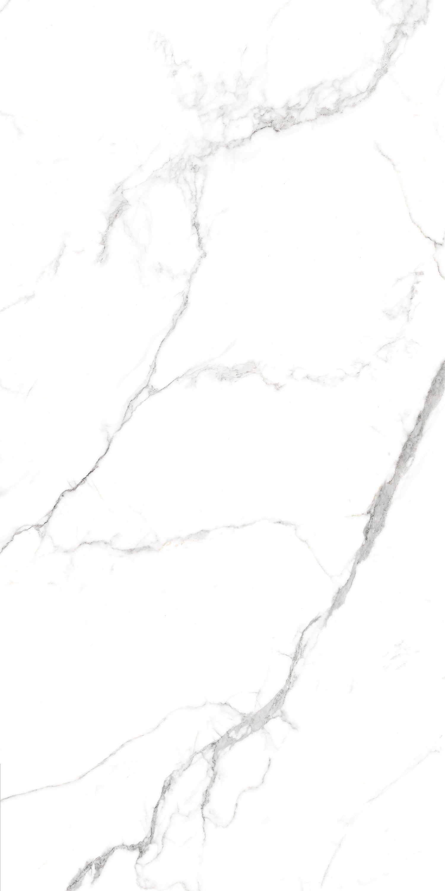 Timeless Satwario Gloss Porcelain 60x120cm Wall and Floor Tiles