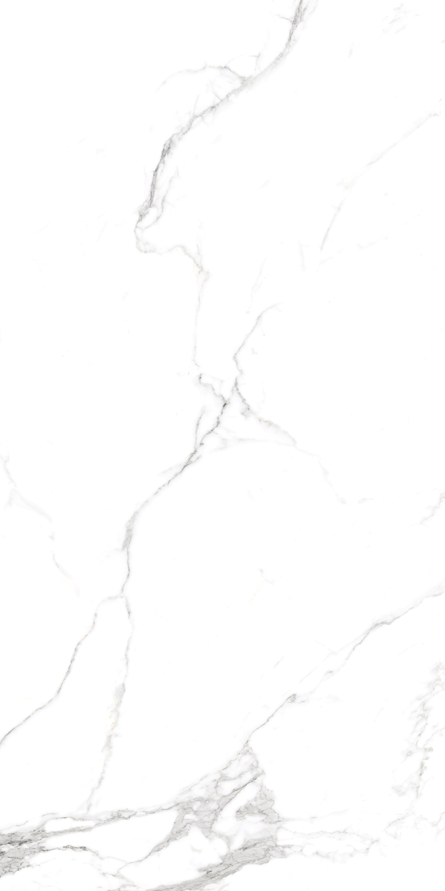 Timeless Satwario Gloss Porcelain 60x120cm Wall and Floor Tiles
