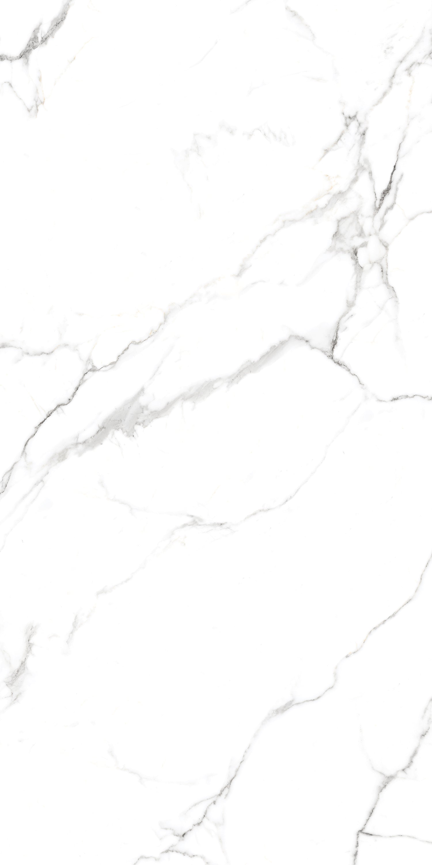 Timeless Satwario Gloss Porcelain 60x120cm Wall and Floor Tiles