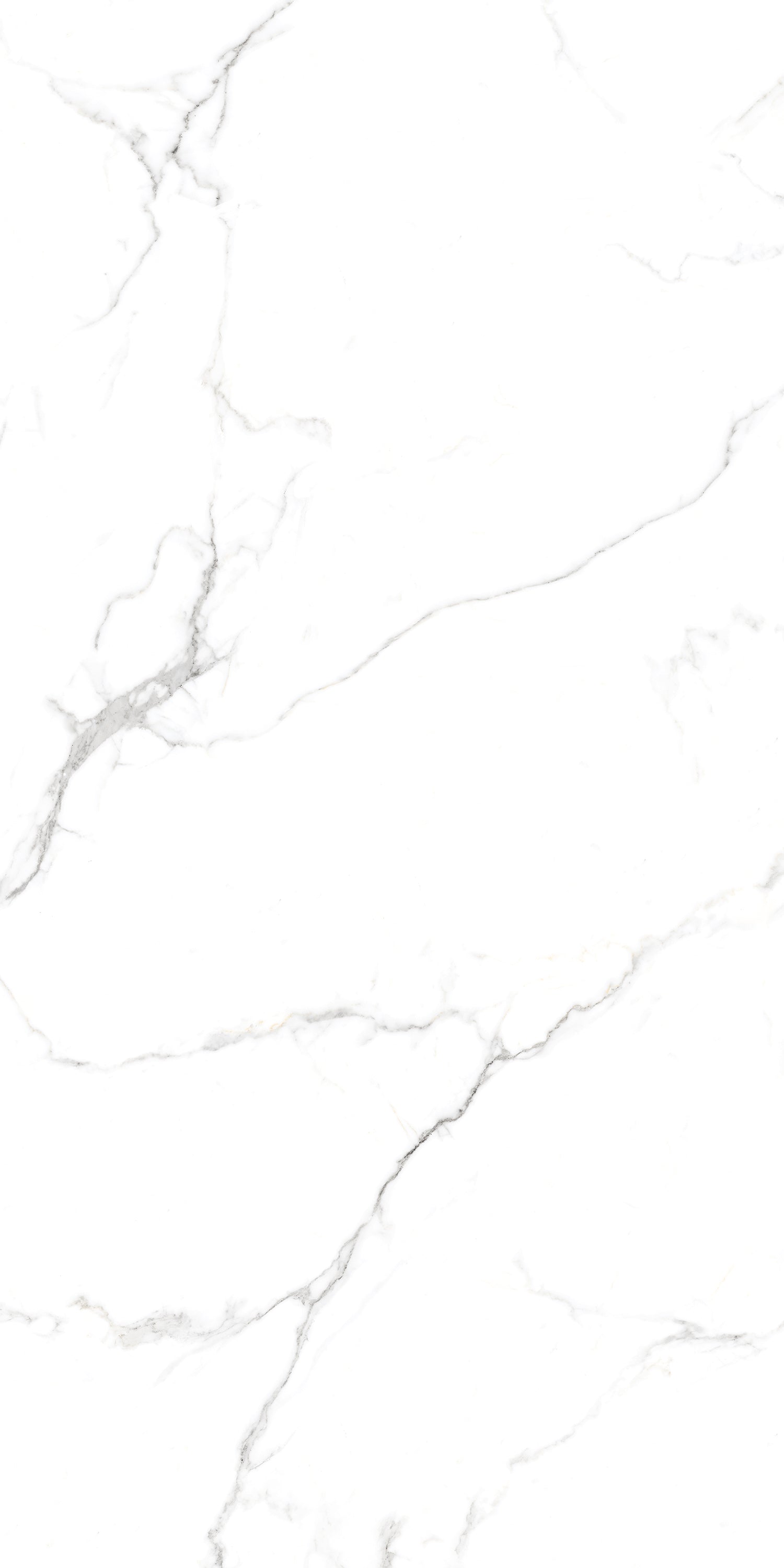 Timeless Satwario Gloss Porcelain 60x120cm Wall and Floor Tiles