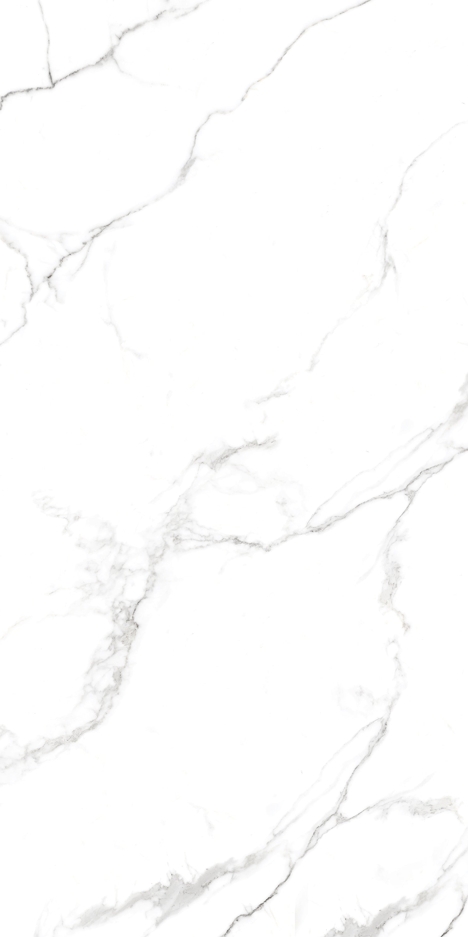 Timeless Satwario Gloss Porcelain 60x120cm Wall and Floor Tiles