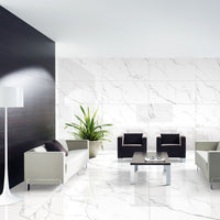 Timeless Satwario Gloss Porcelain 60x120cm Wall and Floor Tiles