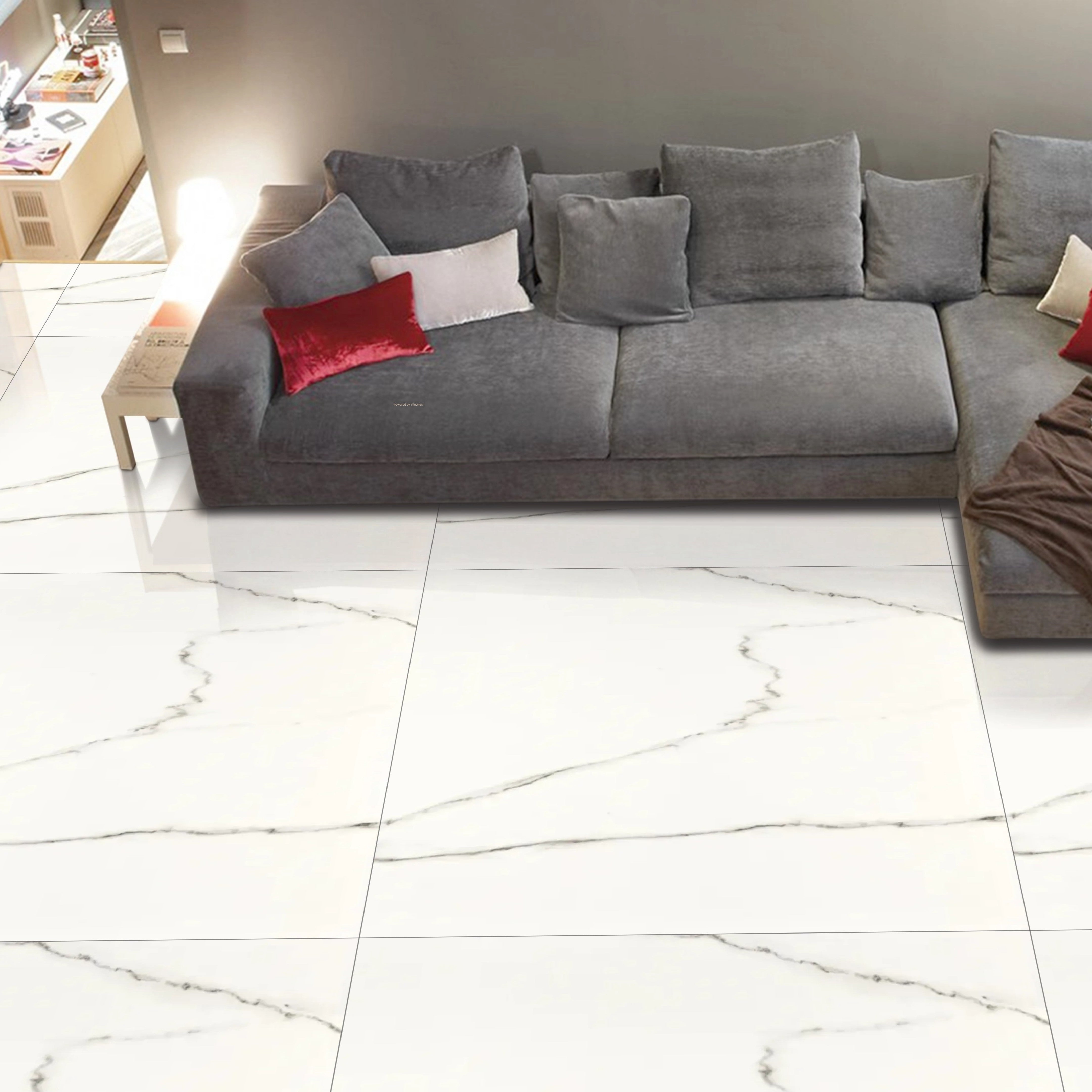 Ario White Polished Marble Porcelain 120x120cm Wall and Floor Tiles