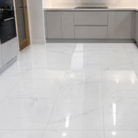 Spider Satwario Marble Effect Gloss Porcelain 60x60cm Kitchen Bathroom Wall and Floor Tile