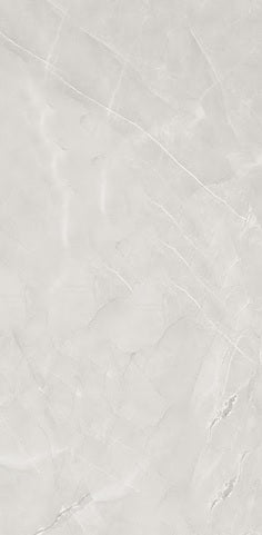 Pigeon Feather Grey Gloss Porcelain 60x120cm Wall Floor Tiles